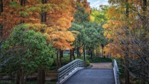 When to visit Shanghai