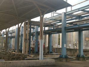 Interpreter in Nanjing for facility audit